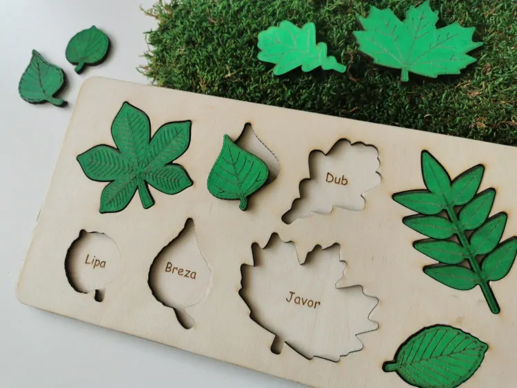 Vkladacie puzzle - listy