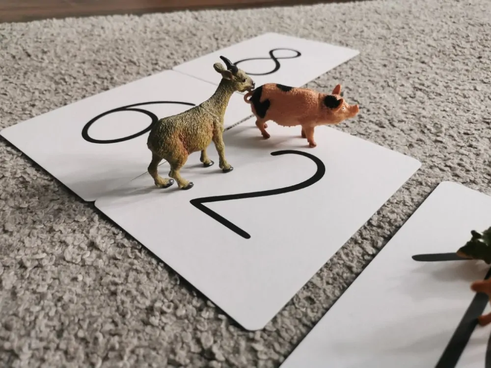 Číselne karty + plagát
