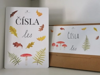 Číselne karty + plagát